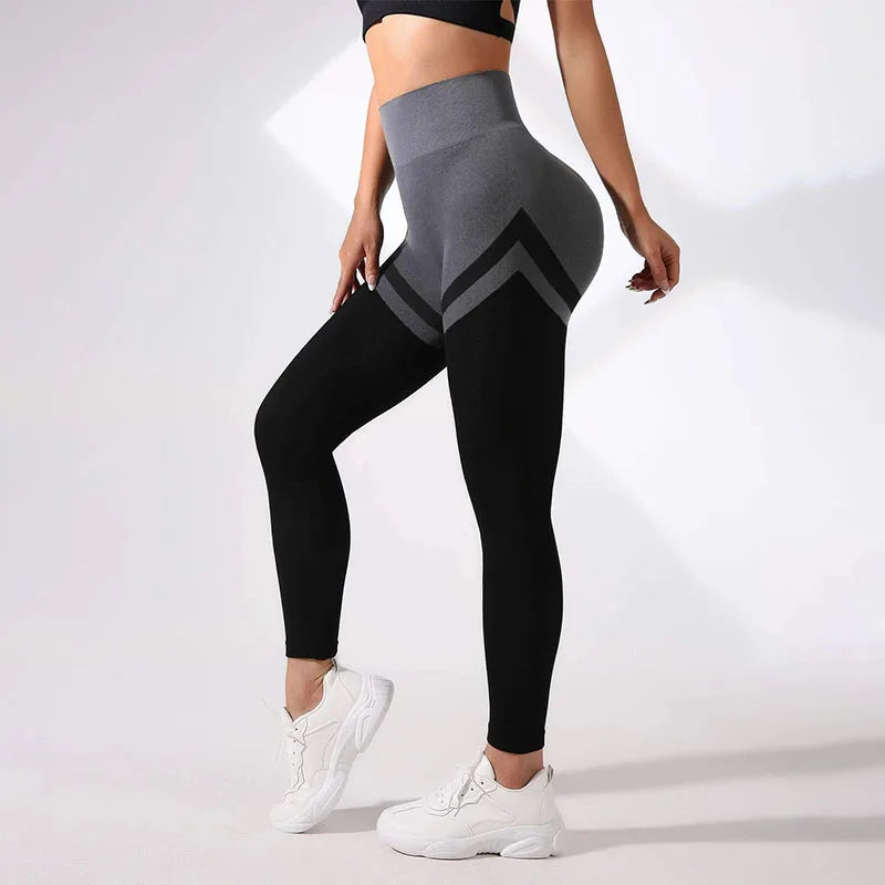 Seamless Multicolor Leggings